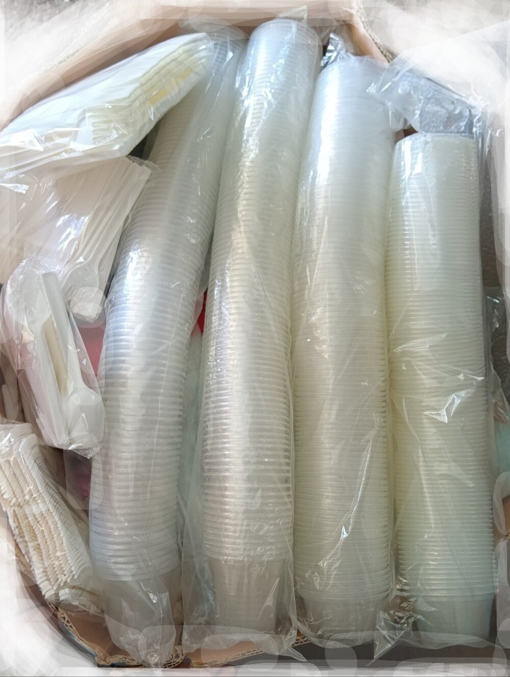 Picnic Or Party //Plastic Spoons,Forks and Clear Cups